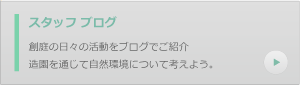 スタッフブログ